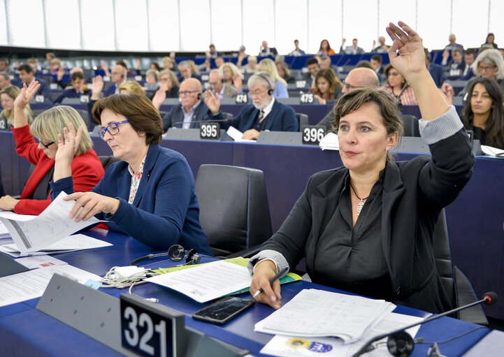 Φωτογραφία 3: Ana MIRANDA in the EP in Strasbourg