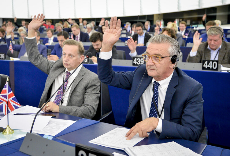 Giancarlo SCOTTA in the EP in Strasbourg