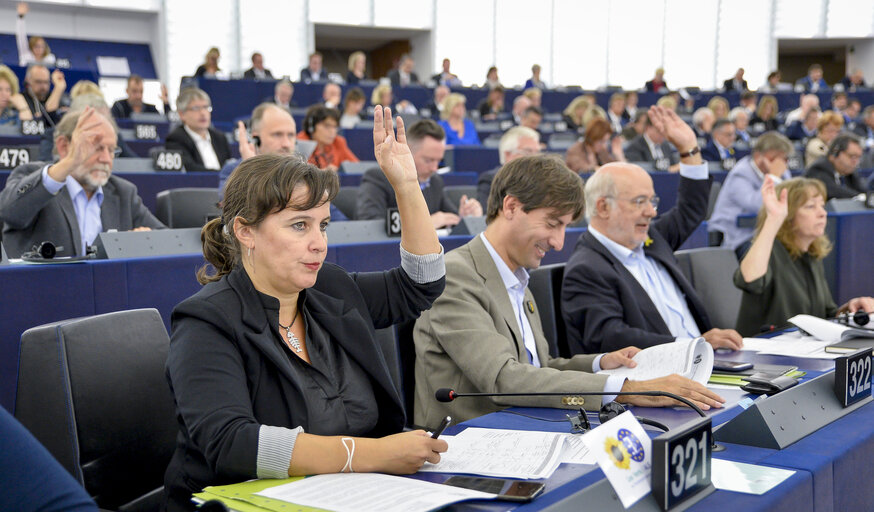 Ana MIRANDA in the EP in Strasbourg