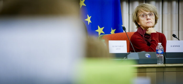 Fotografija 8: AFCO exchange of views on the state of play of the negotiations on Brexit: meeting with the Parliament's coordinator for the negotiations on the UK withdrawal from the EU and the member of the Parliament's Brexit Steering Group