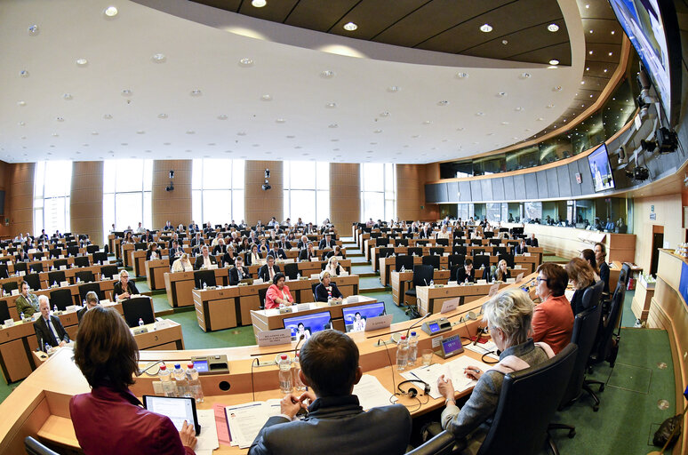 Nuotrauka 8: LIBE - Interparliamentary Committee Meeting ' Fundamental rights aspects of Roma inclusion and fighting anti-Gypsyism '