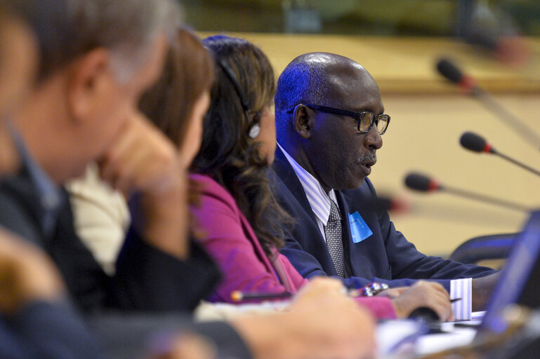 Foto 7: DROI committee meeting.Hearing on ' Contempory forms of slavery in third countries.