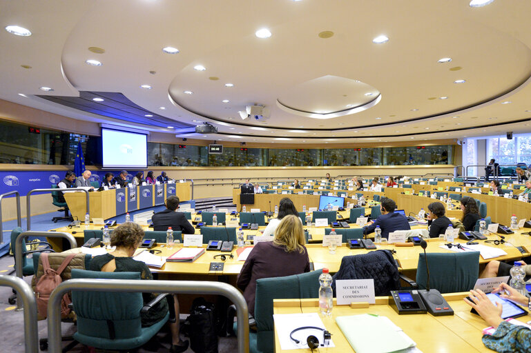 Fotogrāfija 6: DROI committee meeting.Hearing on ' Contempory forms of slavery in third countries.