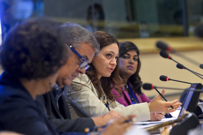 Foto 14: DROI committee meeting.Hearing on ' Contempory forms of slavery in third countries.