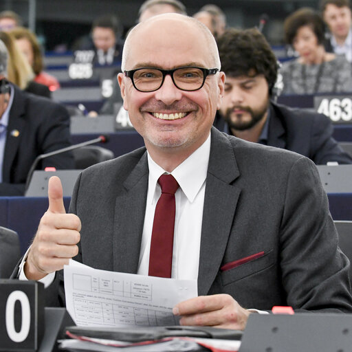 Peter SIMON in the EP in Strasbourg