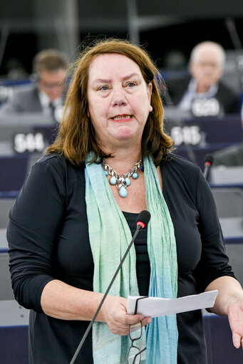 Photo 6: EP Plenary session - The human rights situation in Bangladesh