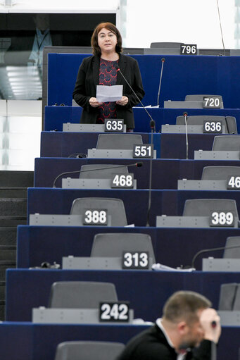 Photo 8 : EP Plenary session - Explanations of votes