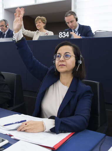 Fotogrāfija 3: Tokia SAIFI in the EP in Strasbourg