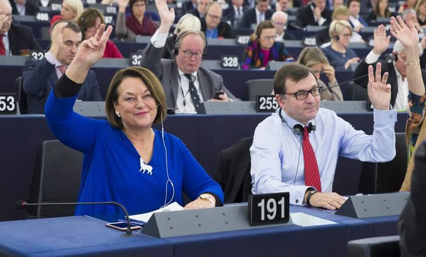 Foto 3: Nathalie GRIESBECK in the EP in Strasbourg