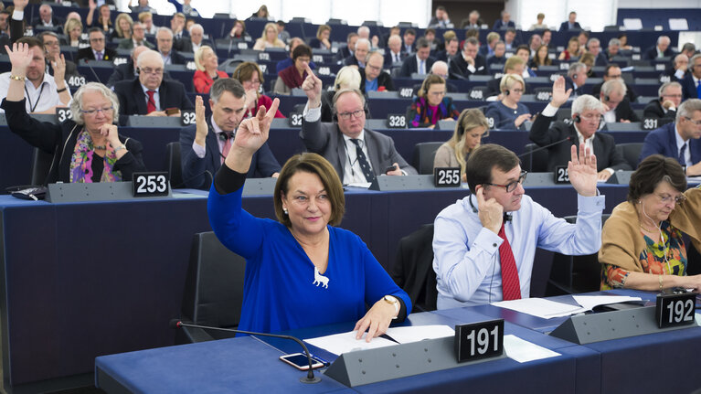 Снимка 1: Nathalie GRIESBECK in the EP in Strasbourg