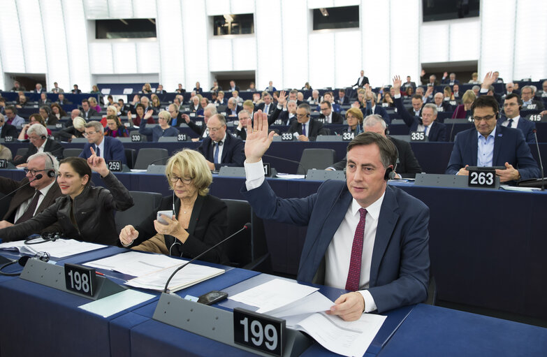 David McALLISTER in the EP in Strasbourg