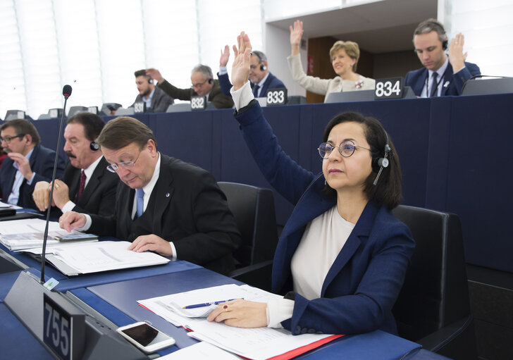 Fotogrāfija 2: Tokia SAIFI in the EP in Strasbourg