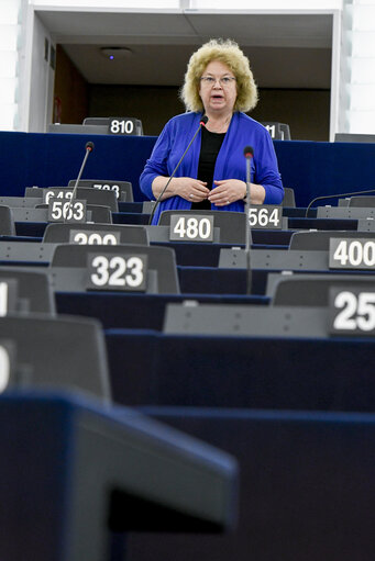 Photo 10: EP Plenary session - The human rights situation in Bangladesh