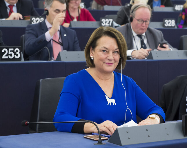 Foto 2: Nathalie GRIESBECK in the EP in Strasbourg