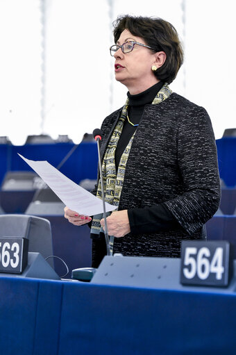 EP Plenary session -  Debates on cases of breaches of human rights, democracy and the rule of law (Rule 135) - Vietnam, notably the situation of political prisoners