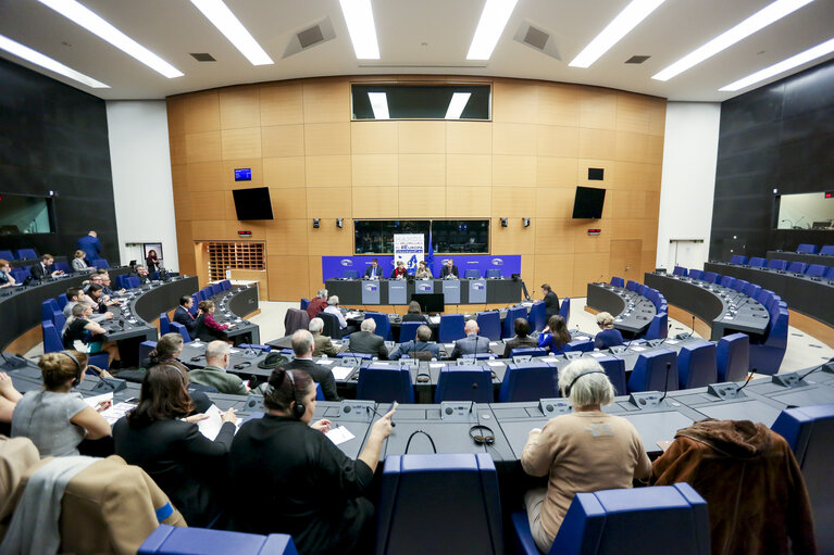 Meeting of the Paneuropean working group of the EPP-group - ' Learning from history - 1848, 1918, 1938, 1968, 2018 '