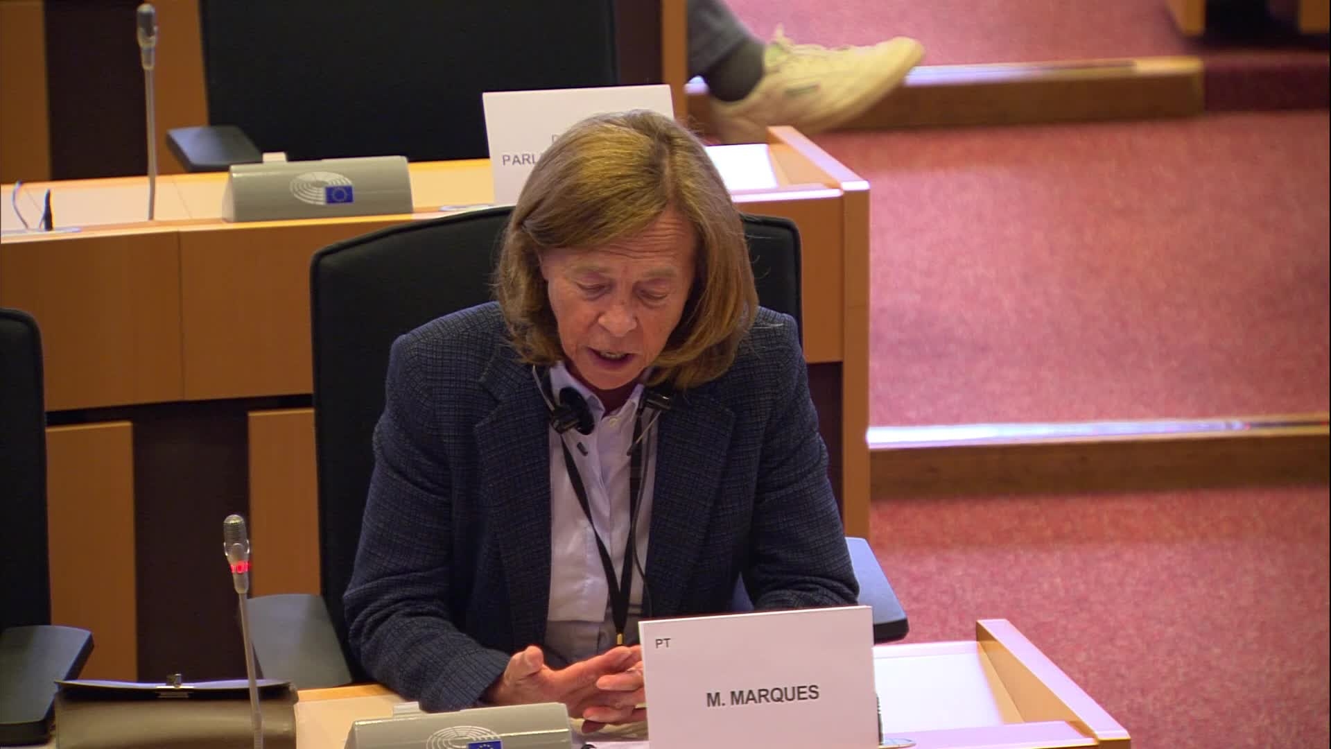 MFF and Recovery plan: extracts from the exchange of views with Michael ROTH, German Minister of State for Europe