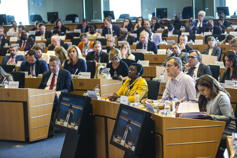 Fotografie 33: High-level Conference : The Future of International Election Observation