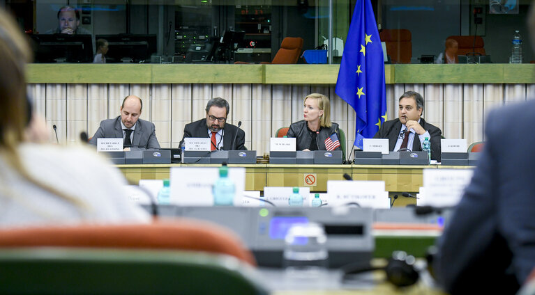 Foto 17: D-US meeting - European Parliament's Delegation for relations with the United States of America