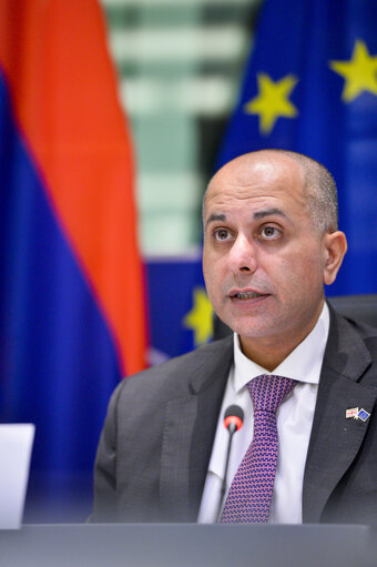 Fotografie 16: 1st EU-Armenia Parliamentary Partnership Committee meeting