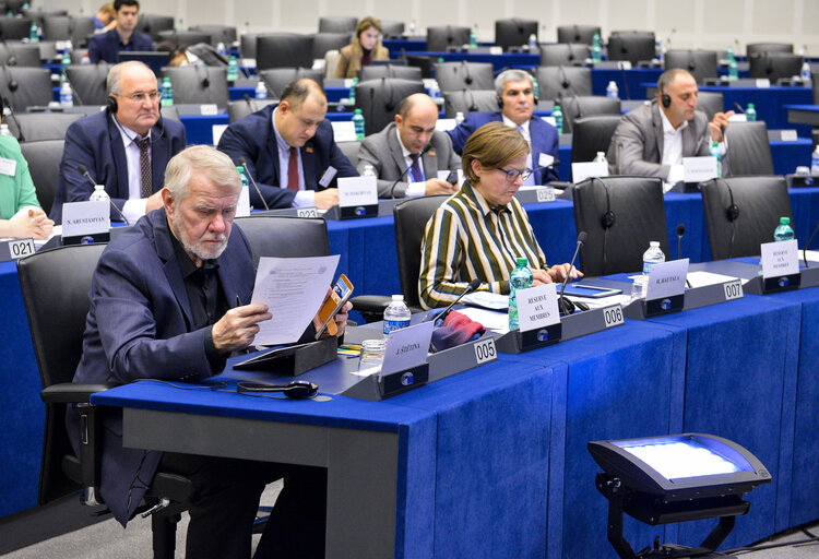 Fotografie 1: 1st EU-Armenia Parliamentary Partnership Committee meeting