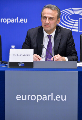 Φωτογραφία 5: 1st EU-Armenia Parliamentary Partnership Committee meeting