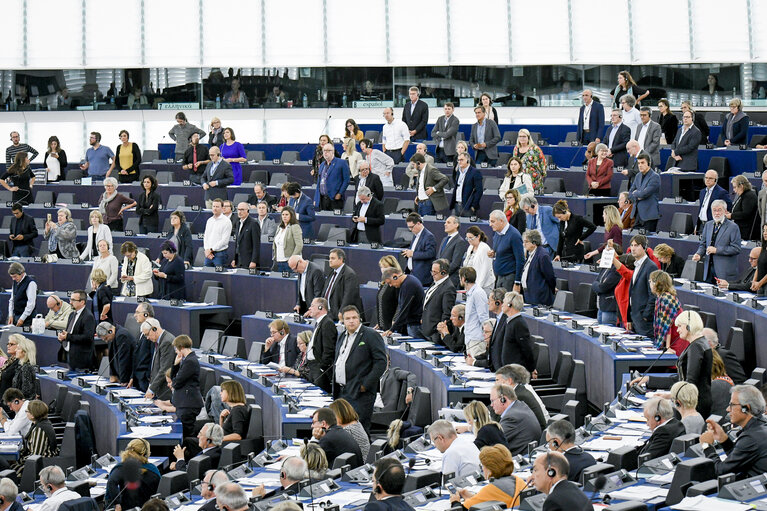 Photo 16: EP plenary session- VOTES followed by explanations of votes-The use of Facebook users’ data by Cambridge Analytica and the impact on data protection