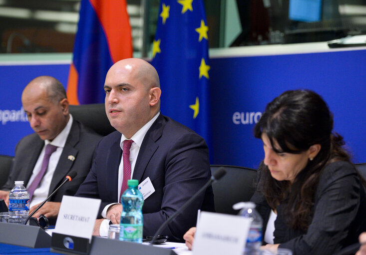 Φωτογραφία 12: 1st EU-Armenia Parliamentary Partnership Committee meeting