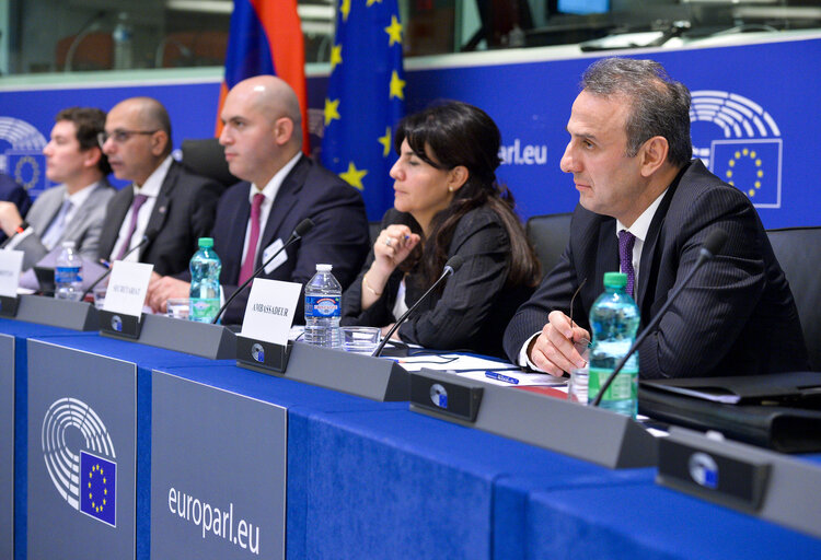 Φωτογραφία 4: 1st EU-Armenia Parliamentary Partnership Committee meeting