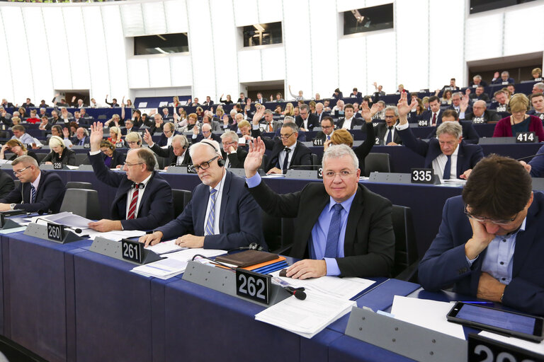 Markus FERBER in the EP in Strasbourg