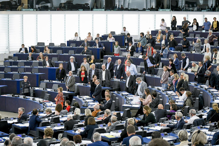 Photo 17: EP plenary session- VOTES followed by explanations of votes-The use of Facebook users’ data by Cambridge Analytica and the impact on data protection