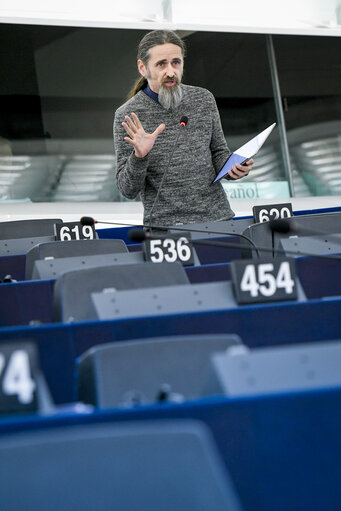 EP plenary session - Explanations of votes