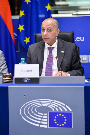 Fotografie 17: 1st EU-Armenia Parliamentary Partnership Committee meeting