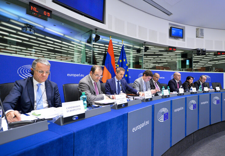 Φωτογραφία 9: 1st EU-Armenia Parliamentary Partnership Committee meeting