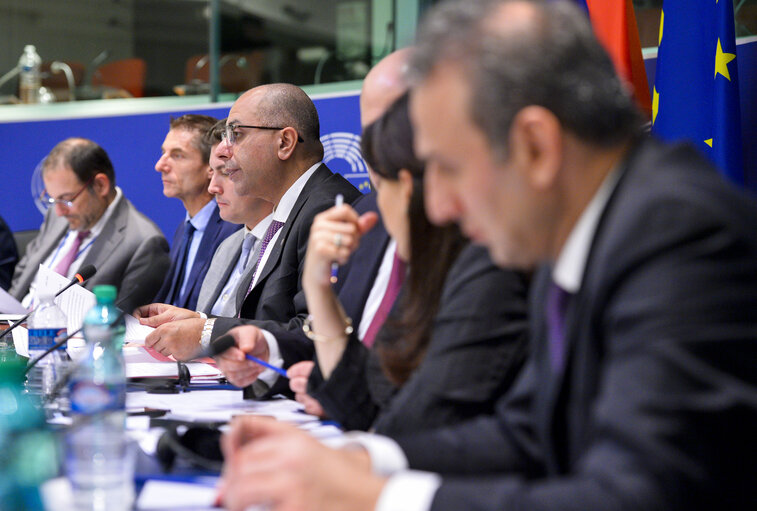 Fotó 6: 1st EU-Armenia Parliamentary Partnership Committee meeting