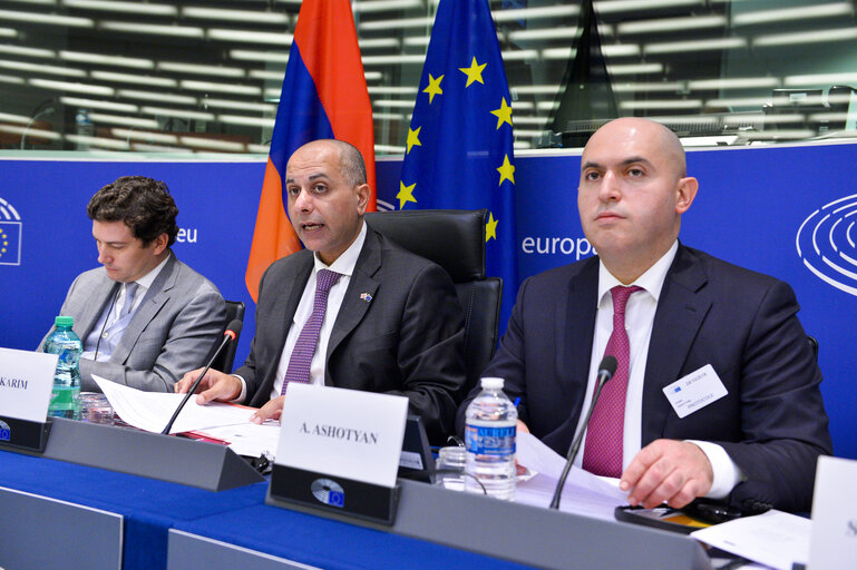 Φωτογραφία 18: 1st EU-Armenia Parliamentary Partnership Committee meeting