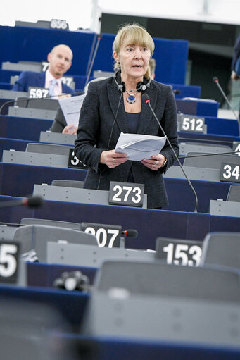 Photo 13: EP plenary session- VOTES followed by explanations of votes- Explanation of votes