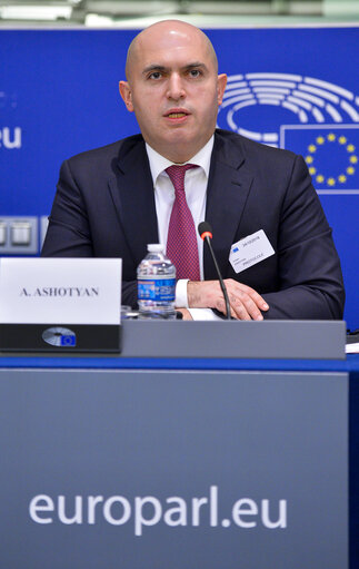 Fotografie 14: 1st EU-Armenia Parliamentary Partnership Committee meeting