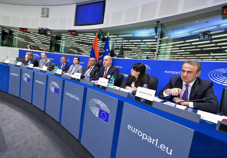 Fotografie 8: 1st EU-Armenia Parliamentary Partnership Committee meeting