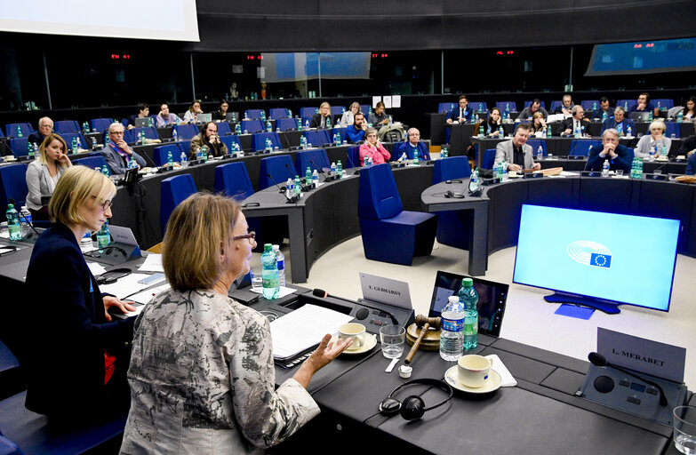 Fotografi 5: French-German discussion forum at the EP - Growth and innovation by the time of the 2019 European election