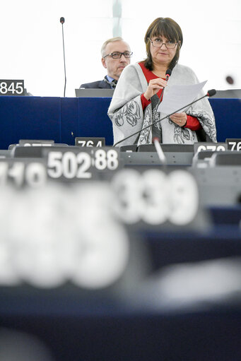 Photo 29: EP plenary session - Explanations of votes