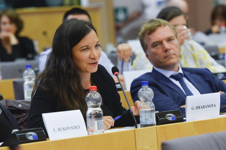 Foto 21: Conference on ' Minimum Standards for Minorities in the EU'