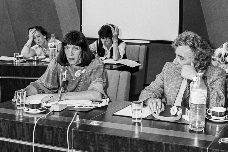 Fotografi 3: Meeting on women's rights in Strasbourg in June 1986