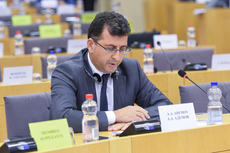 Foto 4: Conference on ' Minimum Standards for Minorities in the EU'