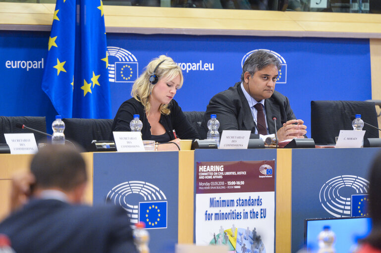 Foto 17: Conference on ' Minimum Standards for Minorities in the EU'