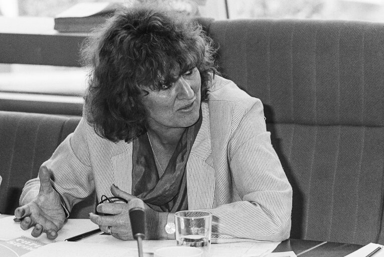 Fotografi 5: Meeting on women's rights in Strasbourg in June 1986