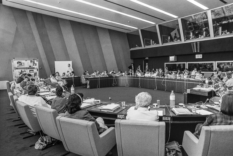 Fotografi 6: Meeting on women's rights in Strasbourg in June 1986