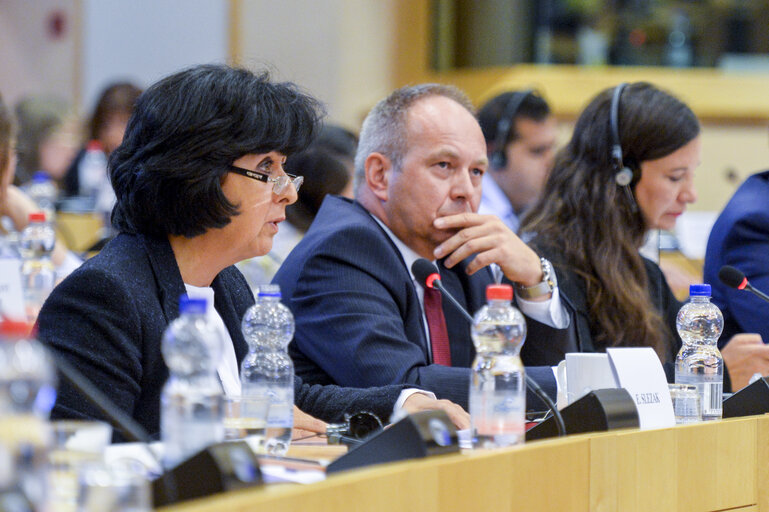 Foto 12: Conference on ' Minimum Standards for Minorities in the EU'