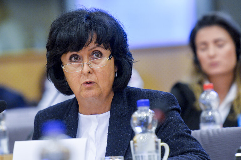 Foto 13: Conference on ' Minimum Standards for Minorities in the EU'