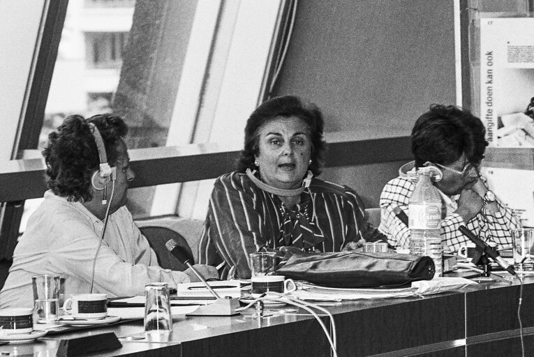 Fotografi 7: Meeting on women's rights in Strasbourg in June 1986